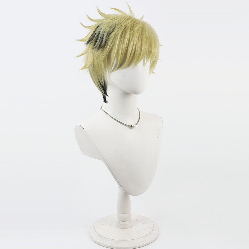 Vantacrow Bringer Cosplay Prui - Anime Cosplay Wig Heat Resistant recensie en prijs